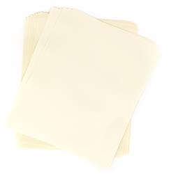 PAPER, POLISH TYPE E 8.5 x 11 (100 SHTS)